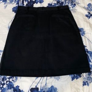 Ann Taylor Skirt